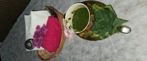 Panchakarma vs regular spa therapy at Kalyankari Wellness Center in Chandigarh